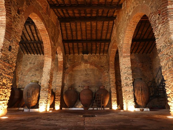 Un tour tra le origini del vino: un viaggio nella Vidigueira tra la Cuba portoghese e Vila de&nbsp;Frades